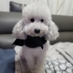 권우진의 프로필 이미지