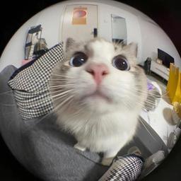 사용자 프로필 1