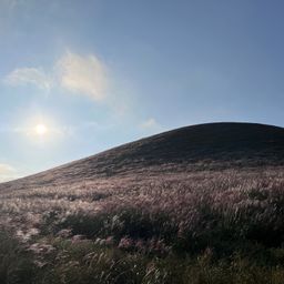 사용자 프로필 1