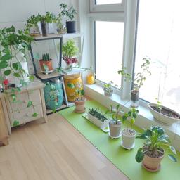 사용자 프로필 1