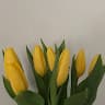 김정현의 프로필 이미지