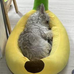 박강현의 프로필 이미지
