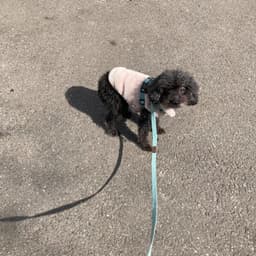 장호준의 프로필 이미지