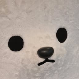 이성우의 프로필 이미지