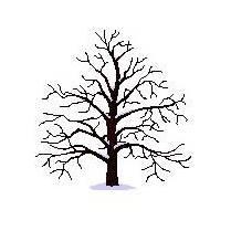 사용자 프로필 1