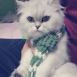 기근영의 프로필 이미지
