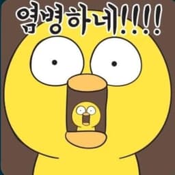 김보나의 프로필 이미지