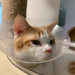 사용자 프로필 1