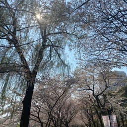 옥수지의 프로필 이미지