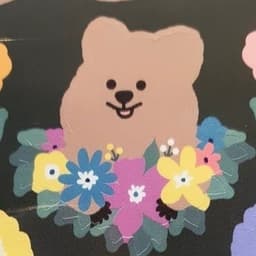 이도하의 프로필 이미지