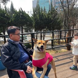 정금래의 프로필 이미지