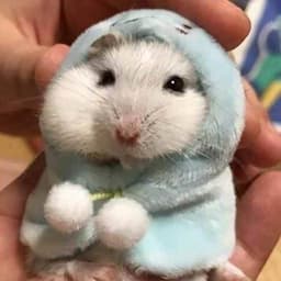 정윤서의 프로필 이미지