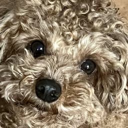 박소영의 프로필 이미지