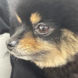 사용자 프로필 1