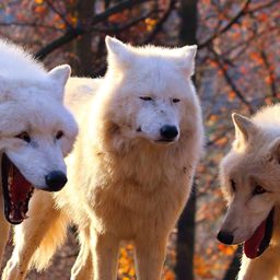 사용자 프로필 1