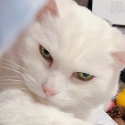 사용자 프로필 1