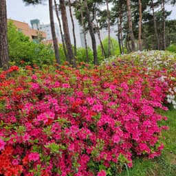 오인숙의 프로필 이미지