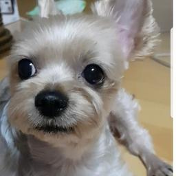 사용자 프로필 1