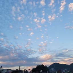 차승주의 프로필 이미지