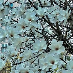 사용자 프로필 1