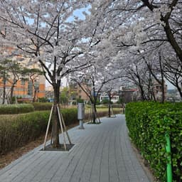 김희수의 프로필 이미지
