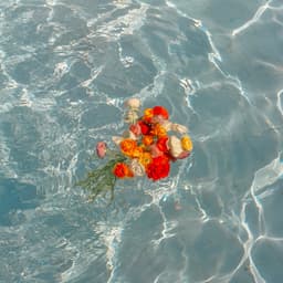 정다결의 프로필 이미지