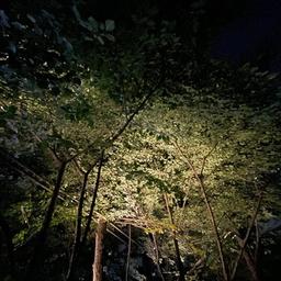 사용자 프로필 1