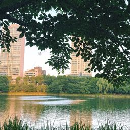 사용자 프로필 1