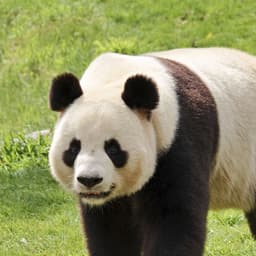 윤상의 프로필 이미지