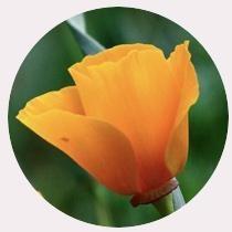 사용자 프로필 1