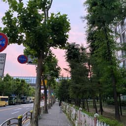 강다인의 프로필 이미지