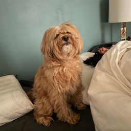 사용자 프로필 1