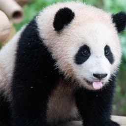 이은재의 프로필 이미지