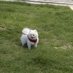 사용자 프로필 1