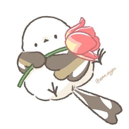 서주연의 프로필 이미지