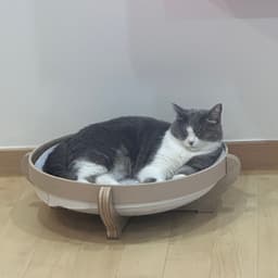 김나영의 프로필 이미지