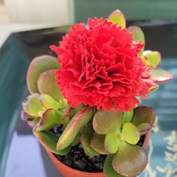 사용자 프로필 1