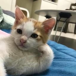 최준호의 프로필 이미지