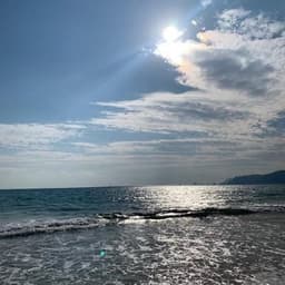 고인정의 프로필 이미지