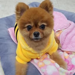 박지훈의 프로필 이미지