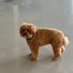 서채연의 프로필 이미지