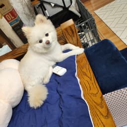 윤민희의 프로필 이미지