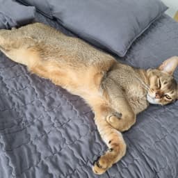 김진우의 프로필 이미지