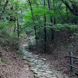 사용자 프로필 1