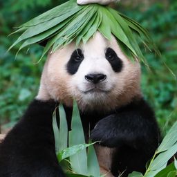 사용자 프로필 1