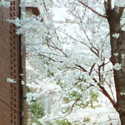 사용자 프로필 1