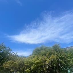안경애의 프로필 이미지
