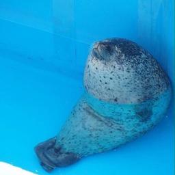 사용자 프로필 1