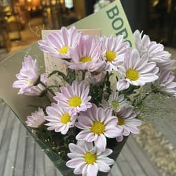 박영주의 프로필 이미지