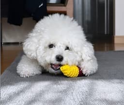 조민지의 프로필 이미지